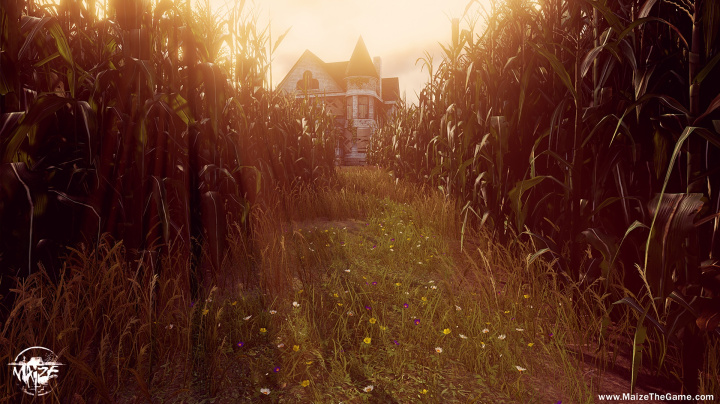 Maize