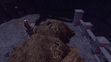 Shadwen