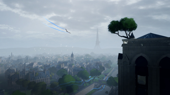 Eagle Flight
