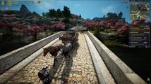 Black Desert Online