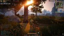 Black Desert Online