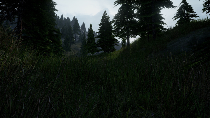 Beyond Enemy Lines