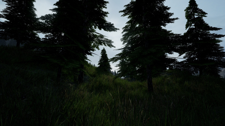 Beyond Enemy Lines