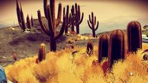 No Man's Sky