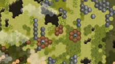 The Curious Expedition