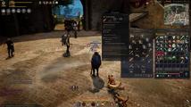 Black Desert Online