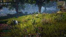 Black Desert Online