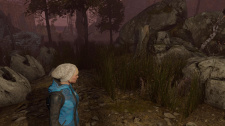 Through the Woods