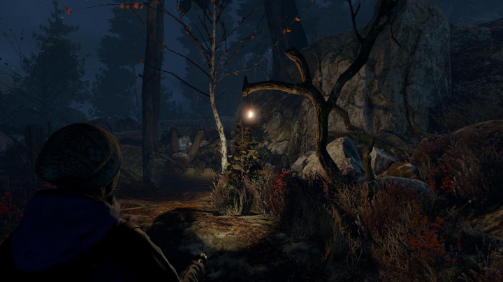 Norský horor Through the Woods vypustil na Xbox hrůzy skandinávské mytologie