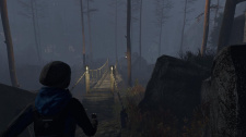 Through the Woods