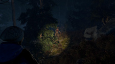 Through the Woods