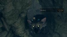 The Last Guardian
