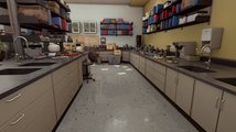 Maize