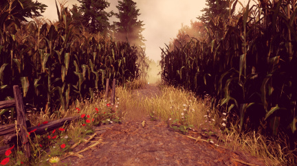 Maize