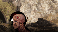 Sniper Elite 4