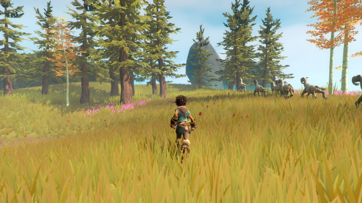 Pine