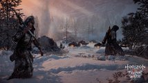 Horizon Zero Dawn: The Frozen Wilds