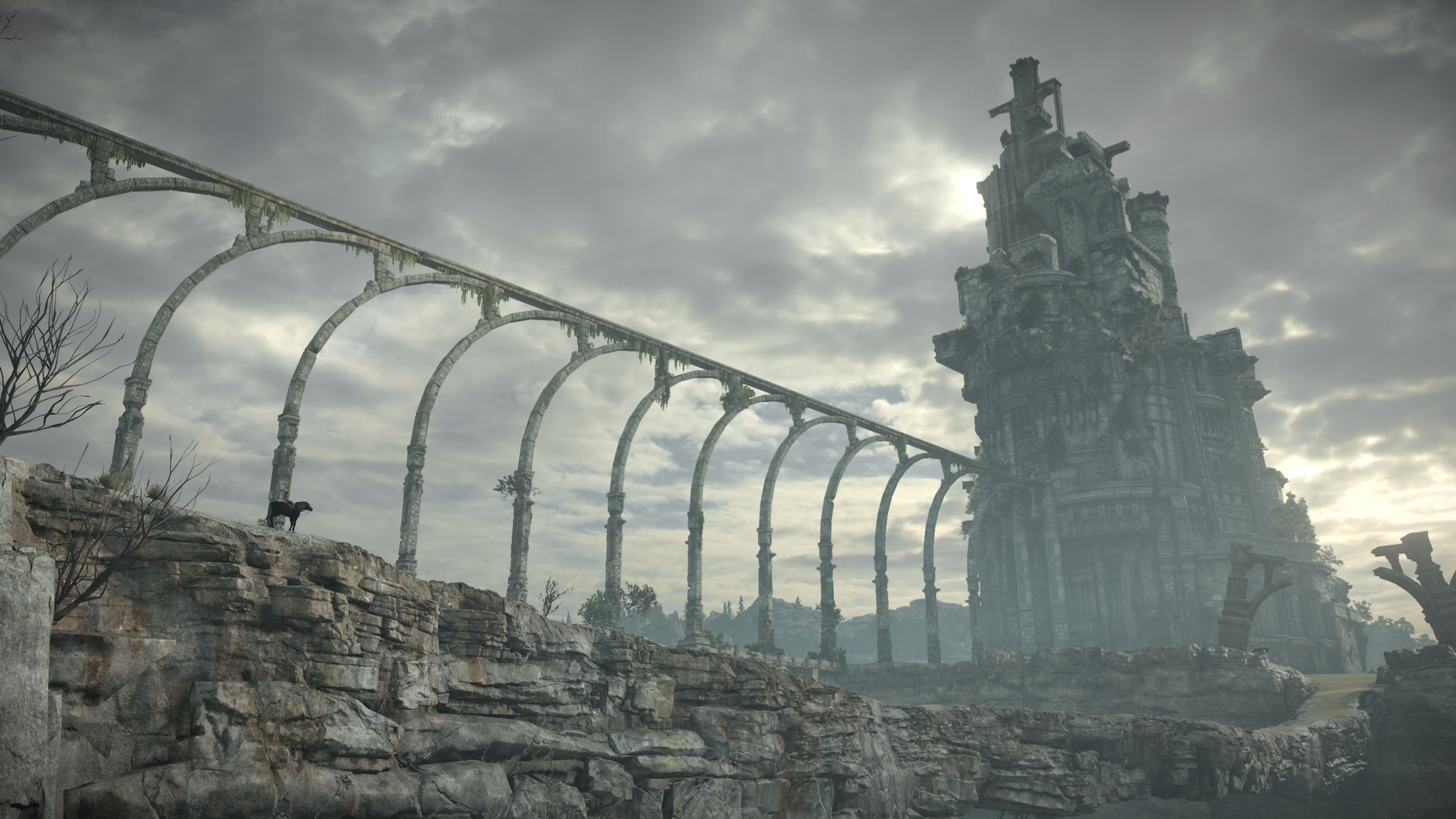 shadow of the colossus pc 60fps