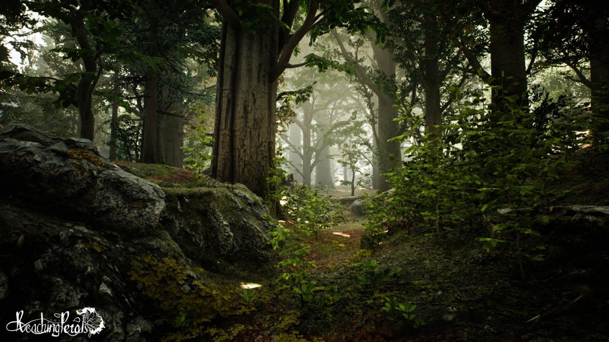Reaching for Petals je příběhová adventura o lásce a životních ambicích