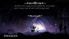 Hollow Knight