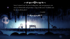 Hollow Knight