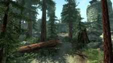 The Elder Scrolls V: Skyrim