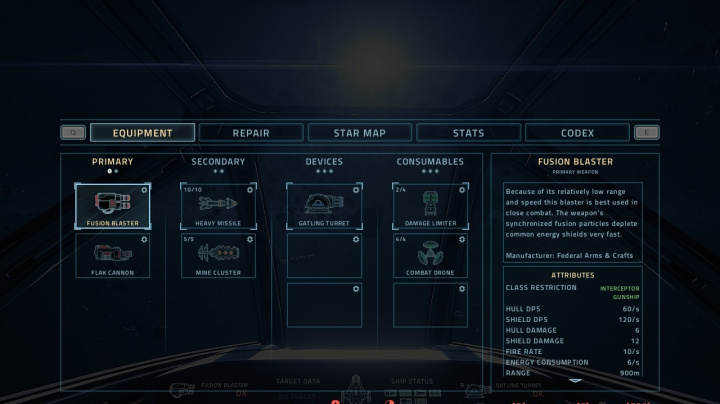 Everspace