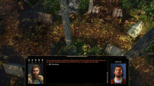 Expeditions: Viking