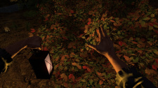Walden, a game