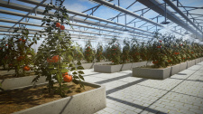 Pure Farming 2018