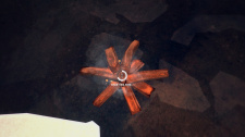 The Long Dark