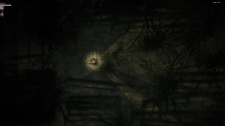 Darkwood