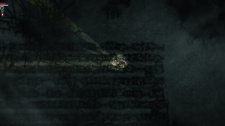 Darkwood
