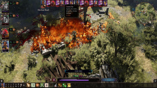 Divinity: Original Sin II