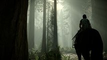 Shadow of the Colossus (PS4)