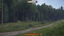 Kingdom Come: Deliverance