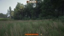 Kingdom Come: Deliverance