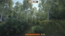 Kingdom Come: Deliverance