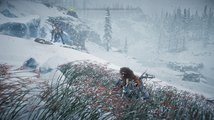 Horizon Zero Dawn: The Frozen Wilds