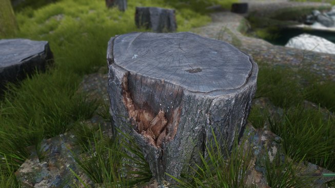 skyrim nexus mod