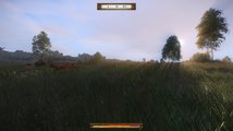 Kingdom Come: Deliverance