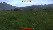 Kingdom Come: Deliverance