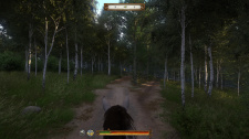 Kingdom Come: Deliverance