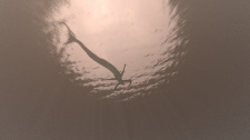 Subnautica