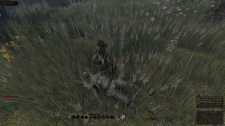 Life is Feudal: MMO