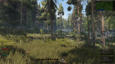 Life is Feudal: MMO