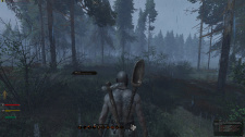 Life is Feudal: MMO