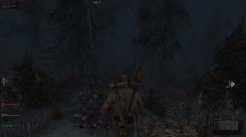 Life is Feudal: MMO