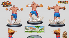 Street Fighter: The Miniatures Game