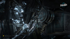 Steel Rats